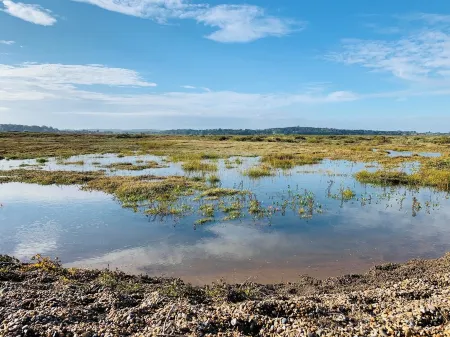 Sarah's - A Georgian townhouse apartment in the heart of historic Holt. Отели в г. Холт
