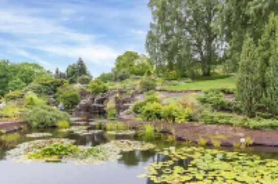 * CENTRAl * COZY * KiNG BED *