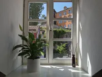 Fynbos Studio DG in the old town, view of Frauenkirchen, parking lot