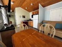 The Sleepy Turtle, with Pool!