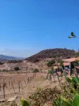 Cabañas hermosa vista Oceano-Montaña Hotels in El Sauzal