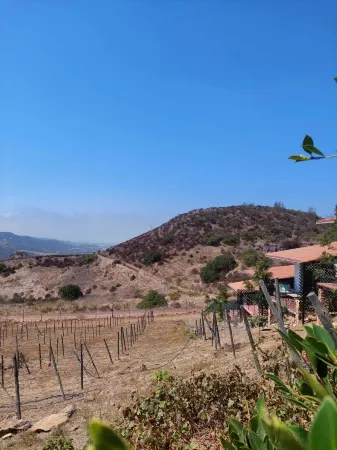 Cabañas hermosa vista Oceano-Montaña