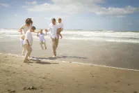 Sea You Hotel Noordwijk - Beach