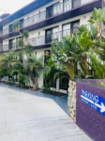 Hotel Suites Royal Hotels in 