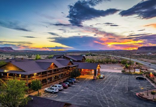 6. 데저트 로즈 리..