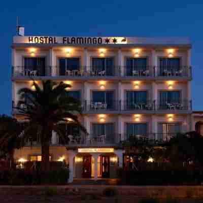 Hostal Flamingo by Nest Hotel Exterior