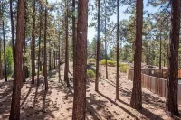 1360 Knoll Lane 3 Bedroom Home by RedAwning - Chalets