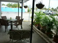 Palm Court Motel Hotels in Dunedin