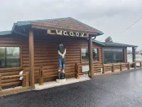 Woodyzzz Motel Hotels in Tuscola County