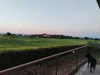 3 Bedroom Private vacation home in Botontano
