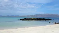 Hotel Oasis - Beach