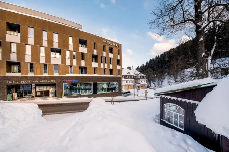 Hotel Pecr Well Отели в г. Пец-под-Снежкой