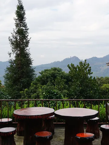 รูปภาพของภูหมอก แค้มป์ (ภูชี้ฟ้า)