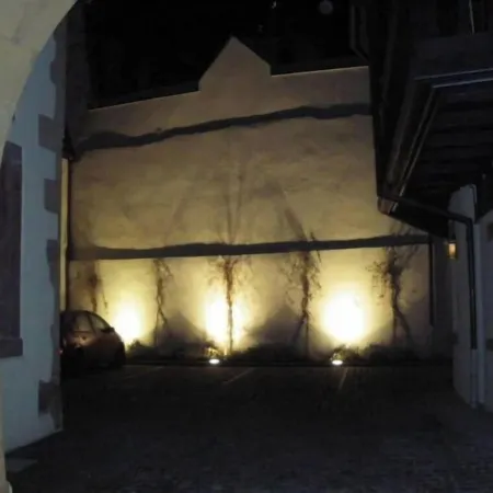 TOURIST RENTAL HISTORIC CENTER COLMAR