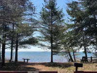 Cheerful cottage with 4 private beach accesses!!!!