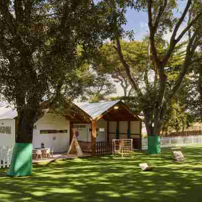MELIÁ Cala Galdana Hotel Exterior
