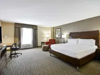 Hilton Garden Inn Sarasota-Bradenton Airport Hotels near Sarasota Bradenton International Airport