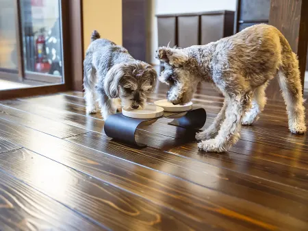 Hiyori Stay Matsue Biyori Отели в г. Мацуэ