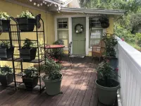 Historic Downtown Sanford Sunshine Cottage with Tree Top Suite!