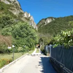 Romantic green-blue residence