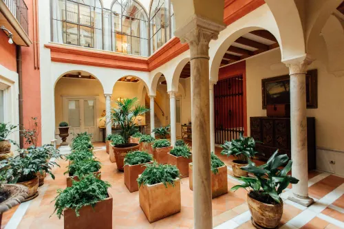Casa Patio del Siglo XIX - Kitchens