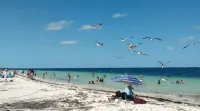 Quiet and serene ocean front 2-bedroom 2-bathroom condo, steps from the sand!