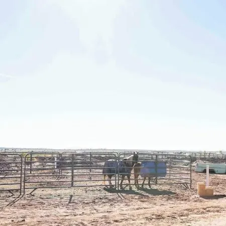 Glitter and Grit! The Wild West 40 Homestead