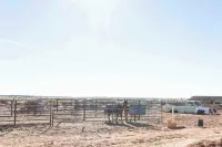 Glitter and Grit! The Wild West 40 Homestead