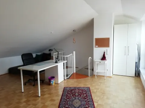 Duplex apartment over 2 levels with roof terrace near the Elbe in Dresden-Blasewitz