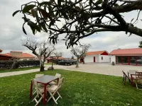 Housing in Penedo Village