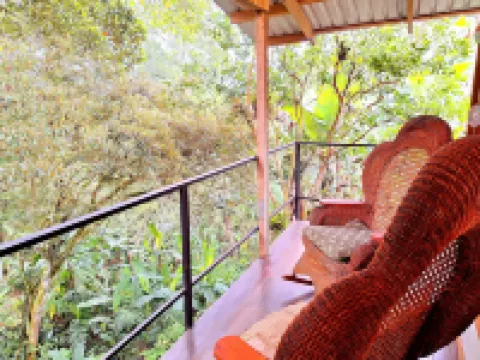 Cabin next to the forest with mountain view 帕拉伊索酒店