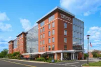 Homewood Suites by Hilton Needham Boston - WiFi