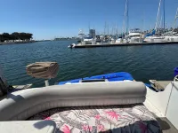 Cruisers 3075 Express - Sleeps 4 - Marina Amenities Included