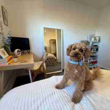 5 Star Room Near London City Airport Rooms