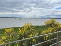 Cosy flat behind a Creek Beach in Gray's Hotels in Grays