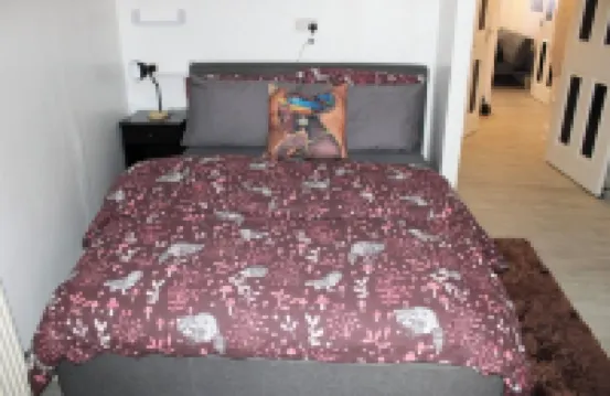 Bowery Apartment - 2 Bedrooms 1st Floor