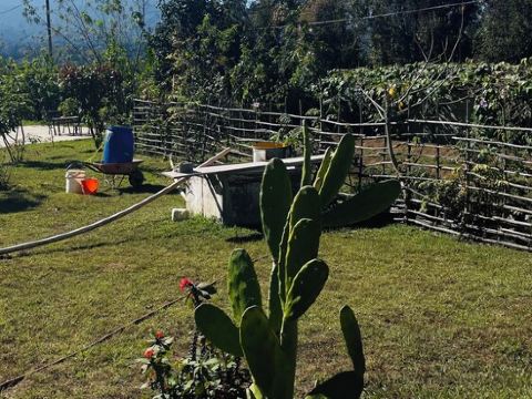 Apartment on a spectacular farm. We are located 10 min from Antigua Guatemala.