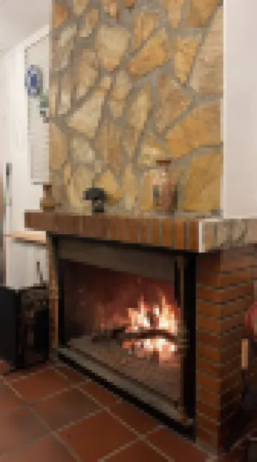 Enjoy a rural house with a wine cellar and a lot of leisure!