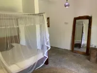 Cafofo_amazônia Selva Tropical y Playa !