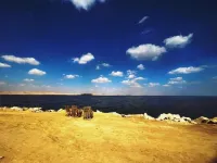 Modern 4 bedrooms Villa with private pool & garden In Tunis village Hotel a Qaroun