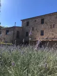 Vacation apartment among olive trees a stone's throw from Lake Trasimeno