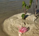 Ground floor apartment in Soulac sur Mer 2.9km from the central beach.