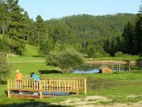 Large private lot.  Beautiful cabin with a stream and trout pond!