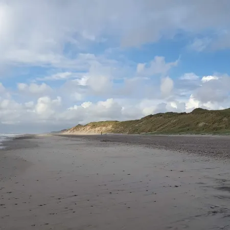 8 Person Holiday Home in Ringkøbing