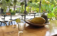 Rooms & Pool Macaws Hotels in Uvita