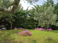 Peaceful Valley View Villa - Villaer
