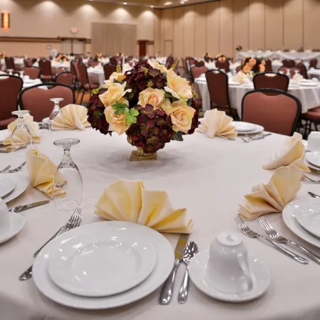 Holiday Inn STEVENS POINT - CONVENTION CTR by IHG