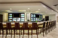 Holiday Inn AUSTIN-TOWN LAKE by IHG - bar