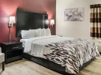 Red Roof Inn Binghamton North Hotels in Chenango