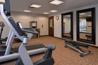 Holiday Inn Express & Suites WILLIAMS by IHG - Gym